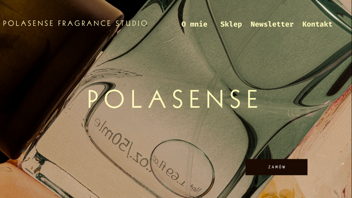 Pola Dźwigała interior